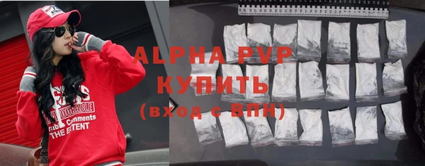 крисы Корсаков