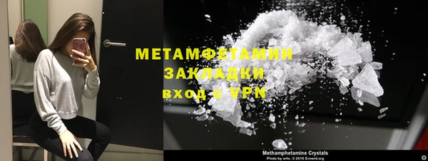 крисы Корсаков