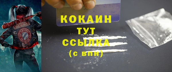 крисы Корсаков