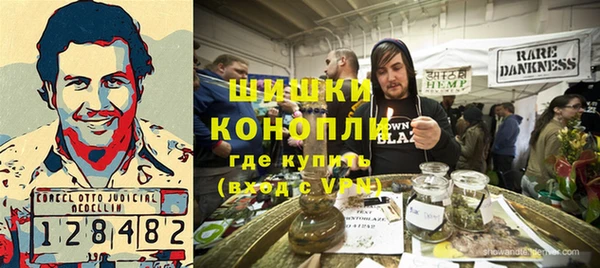 крисы Корсаков