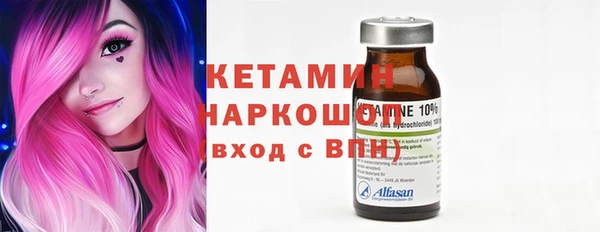 крисы Корсаков