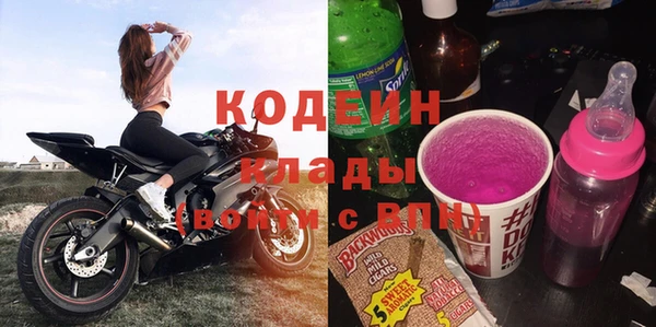 крисы Корсаков
