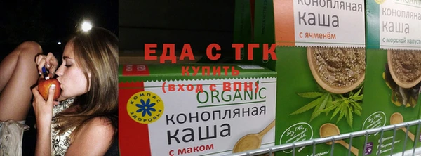 крисы Корсаков