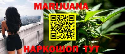 гидра Краснознаменск