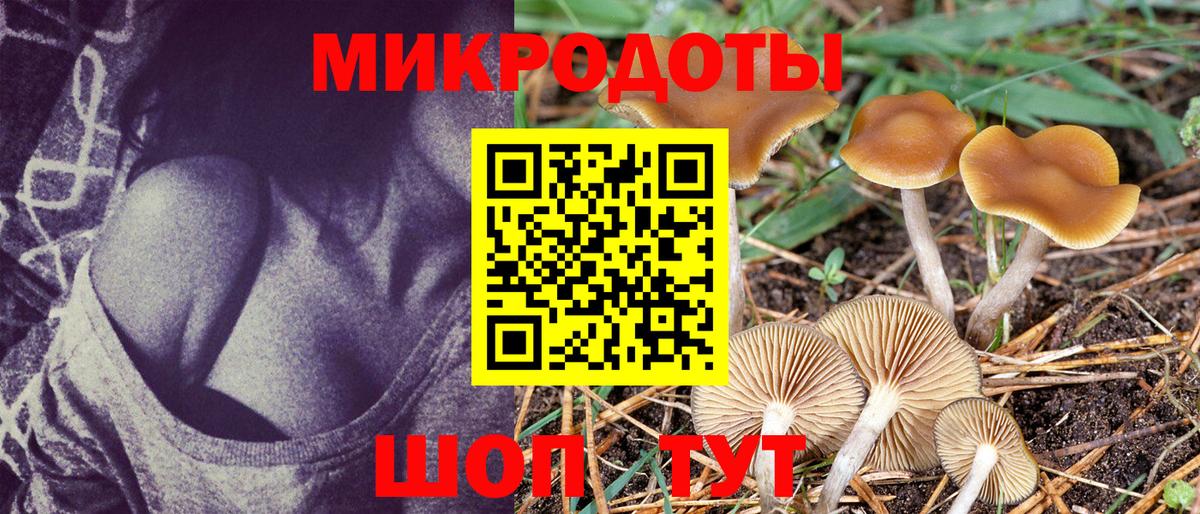Псилоцибиновые грибы GOLDEN TEACHER  купить  сайты  Вход с VPN  Конаково  Псилоцибиновые грибы Cubensis 
