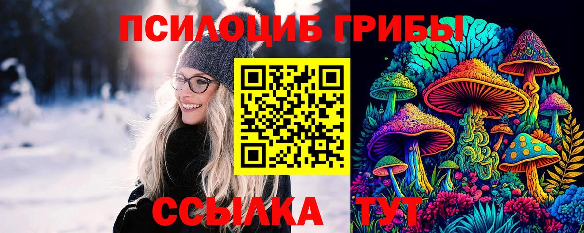 Псилоцибиновые грибы Psilocybe Конаково
